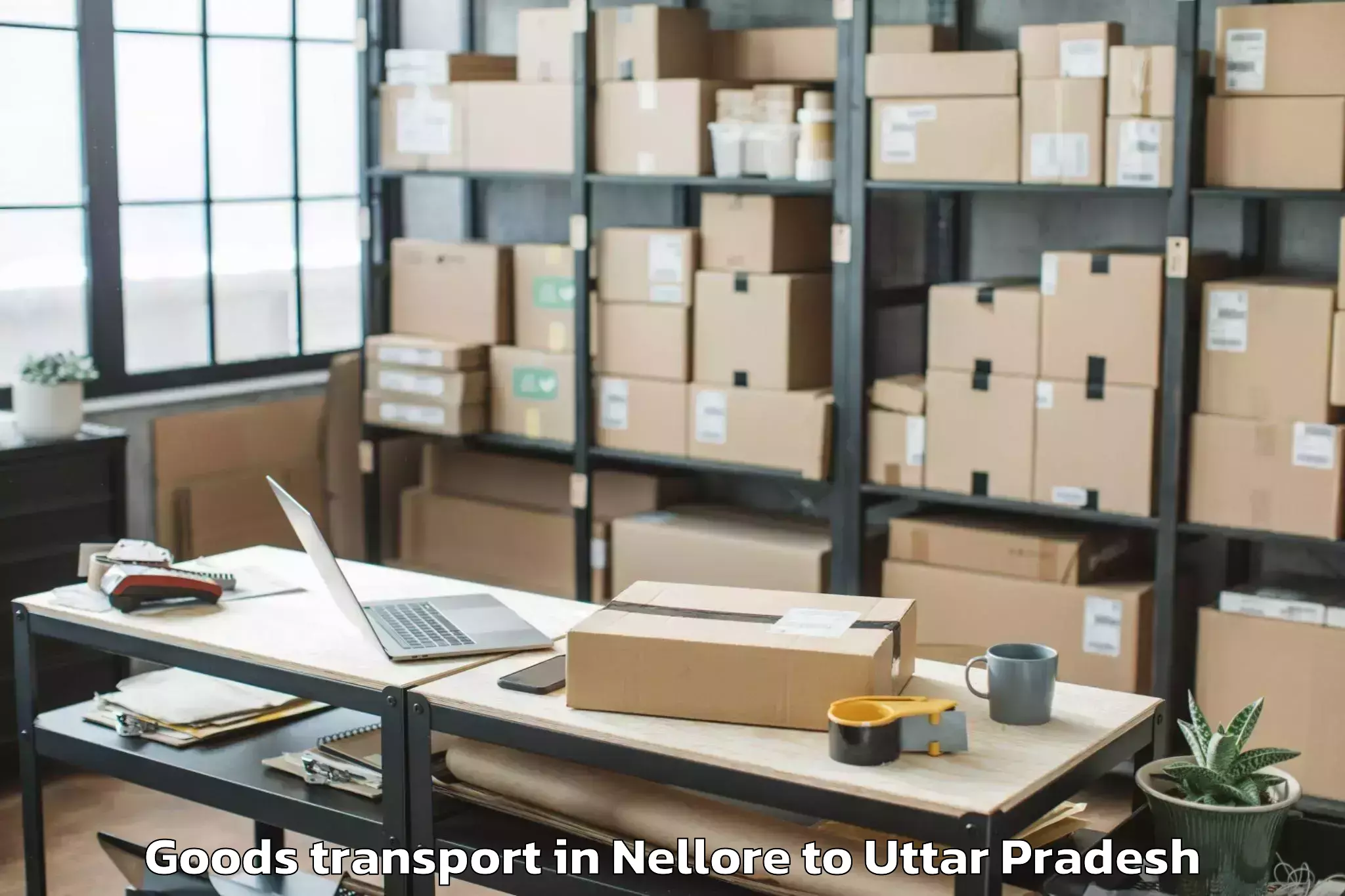 Professional Nellore to Iftm University Moradabad Goods Transport